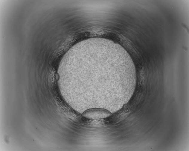 X0000101160463200807251114