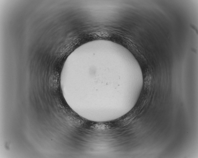 X0000101160464200807251114