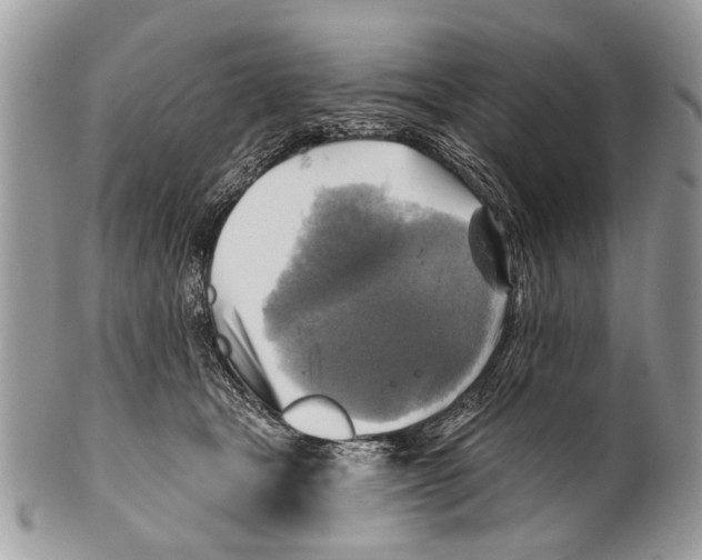X0000101160465200807251115