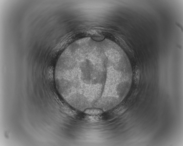 X0000101160466200807251115