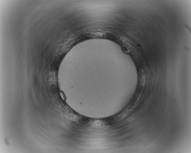 X0000101160467200807251115