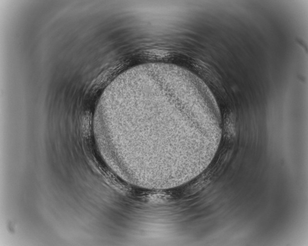 X0000101160468200807251115