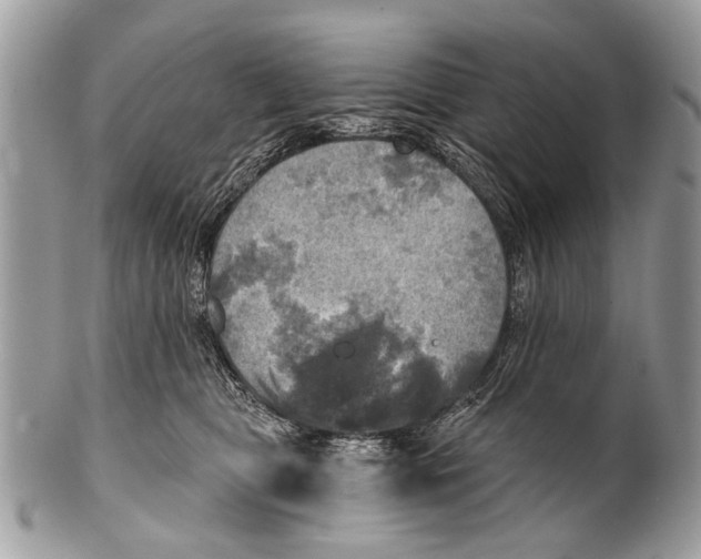 X0000101160469200807251115