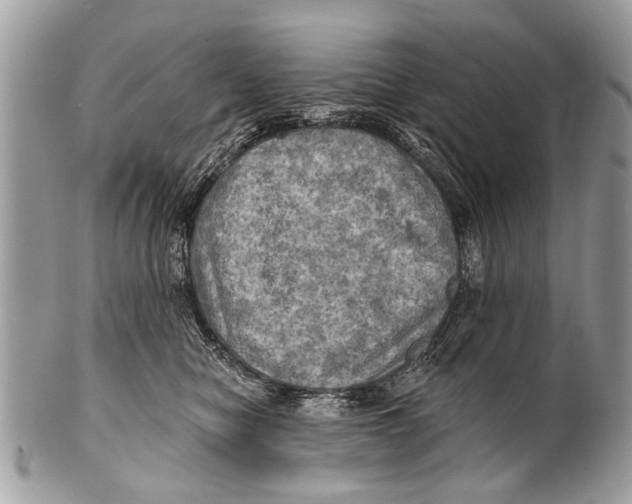 X0000101160470200807251115