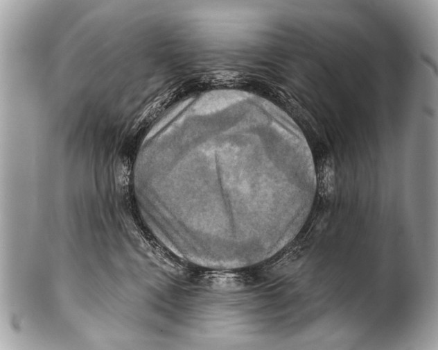 X0000101160472200807251115