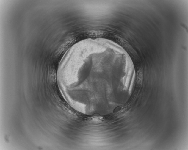 X0000101160474200807251115