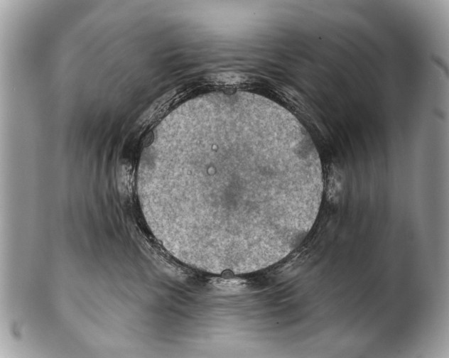 X0000101160476200807251115