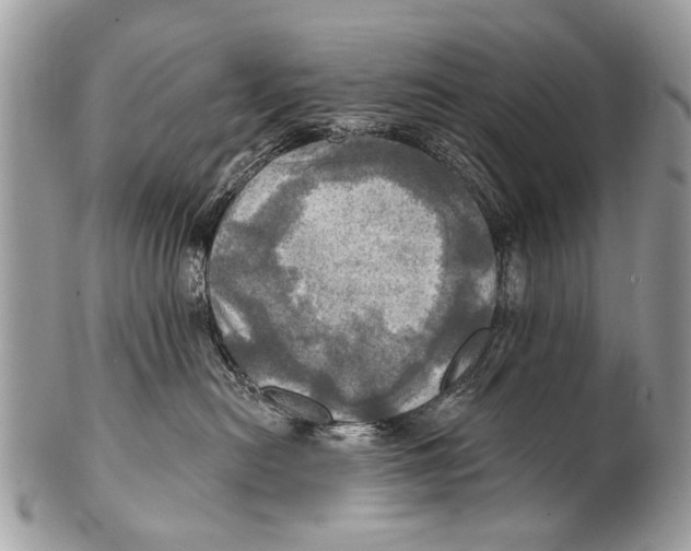 X0000101160478200807251115