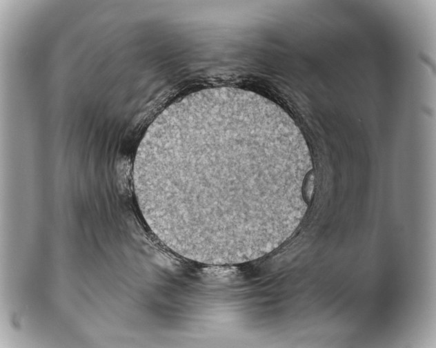 X0000101160480200807251115