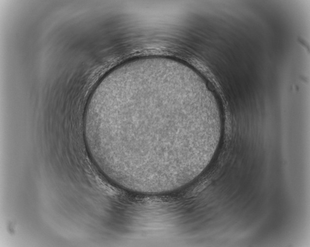 X0000101160481200807251114