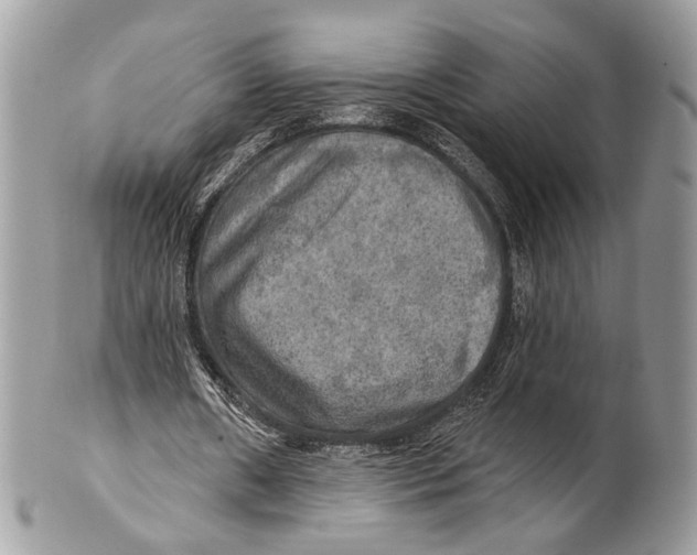 X0000101160482200807251114