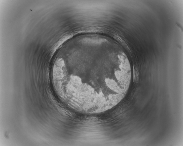 X0000101160483200807251114
