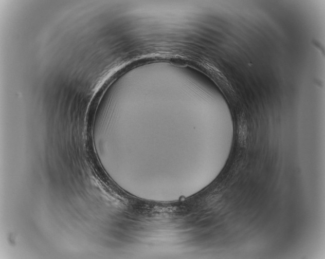 X0000101160484200807251114
