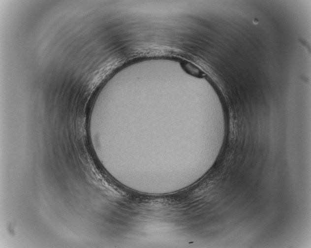 X0000101160485200807251114