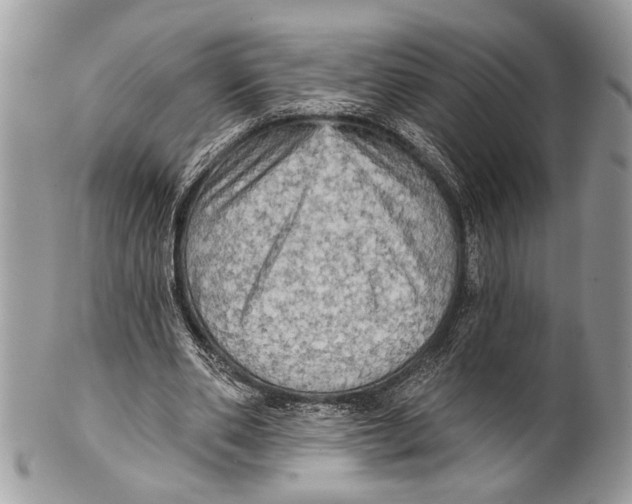 X0000101160486200807251114