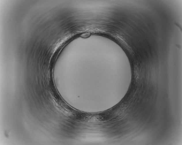 X0000101160488200807251114