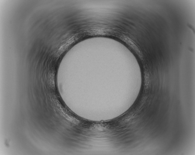 X0000101160489200807251114