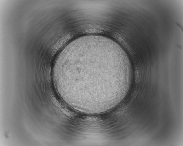 X0000101160490200807251114