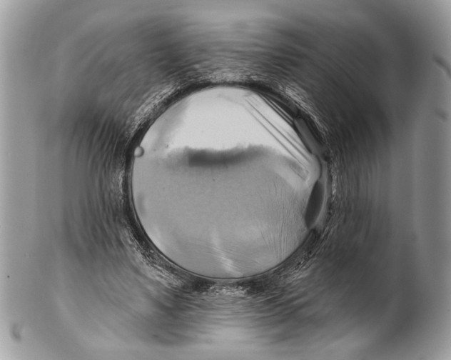 X0000101160491200807251114