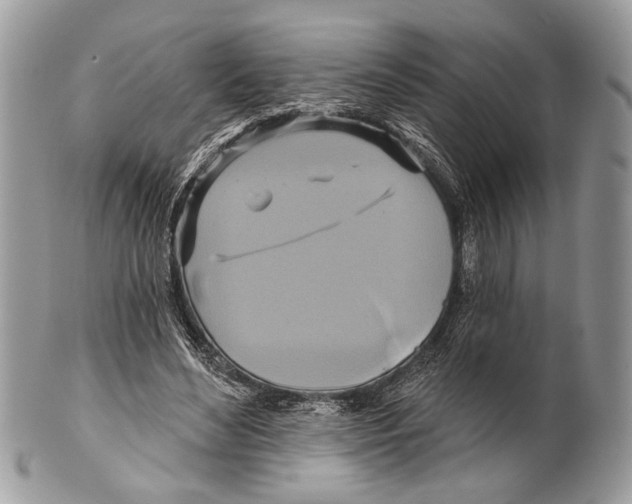 X0000101160492200807251114