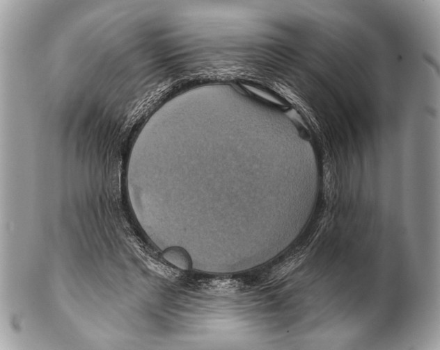 X0000101160493200807251114