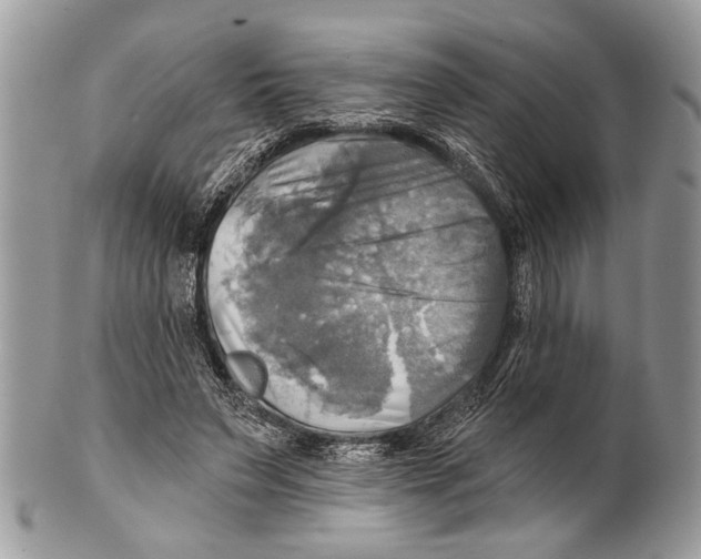 X0000101160495200807251114