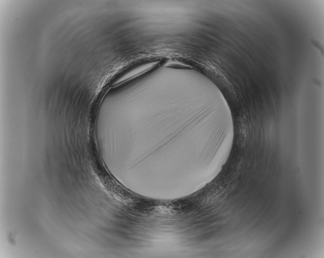 X0000101160496200807251114