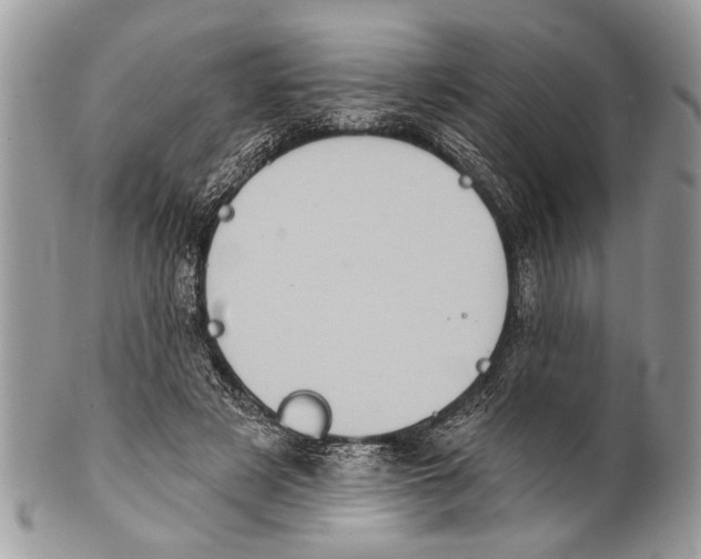 X0000101160497200807251114