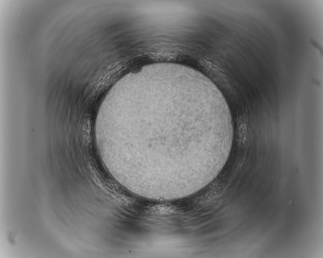 X0000101160498200807251114