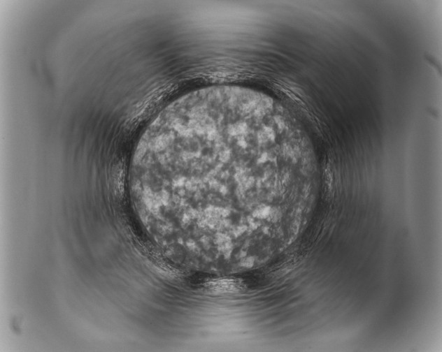 X0000101160499200807251114