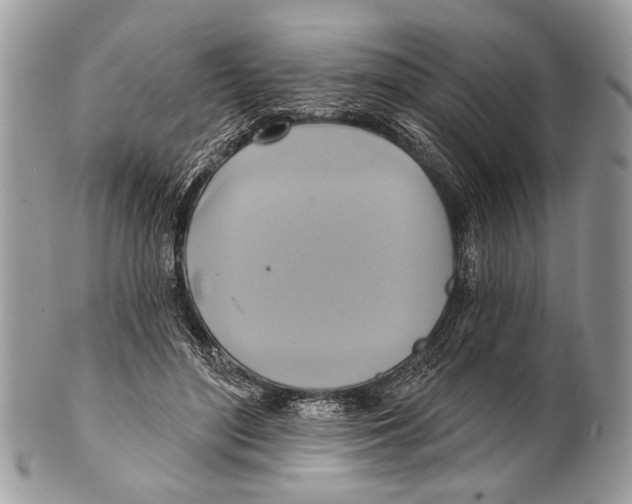 X0000101160500200807251114