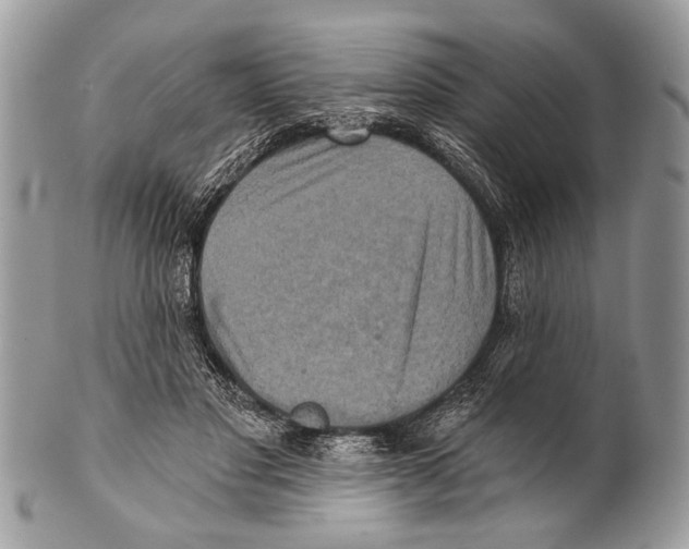 X0000101160501200807251114