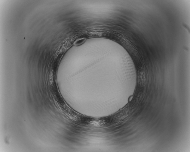X0000101160504200807251114