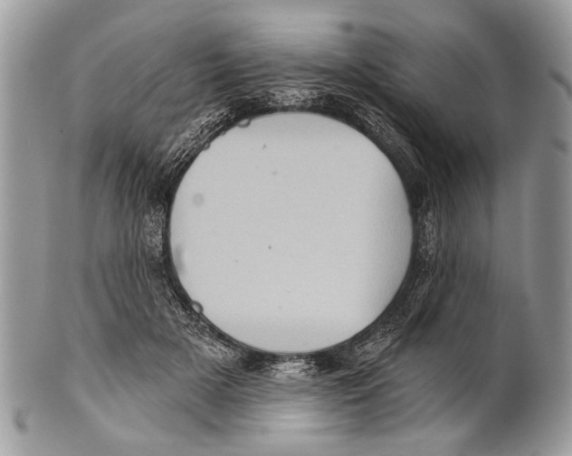 X0000101160505200807251114