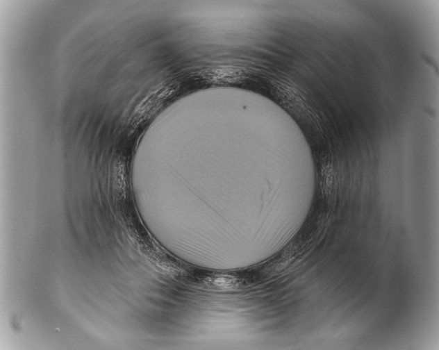 X0000101160506200807251114