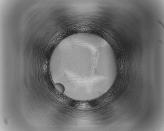 X0000101160507200807251114