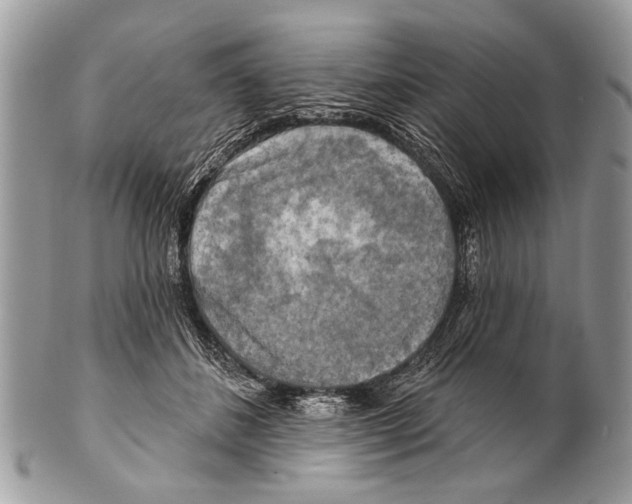 X0000101160508200807251114