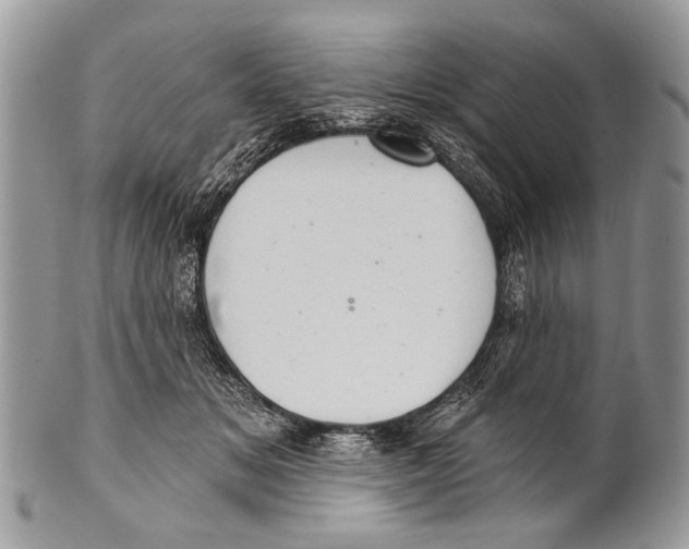 X0000101160509200807251113