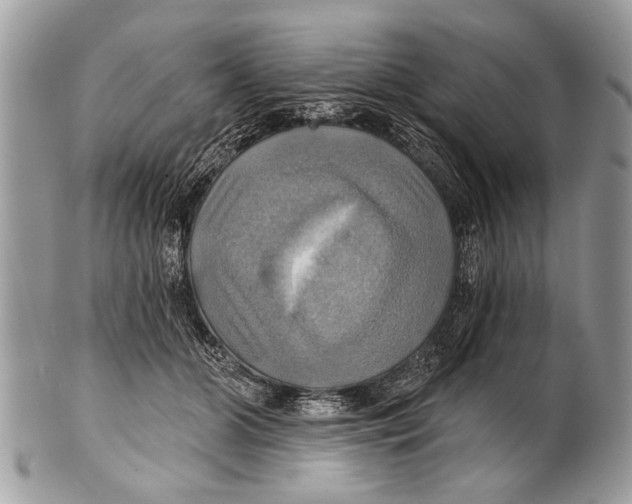 X0000101160510200807251113