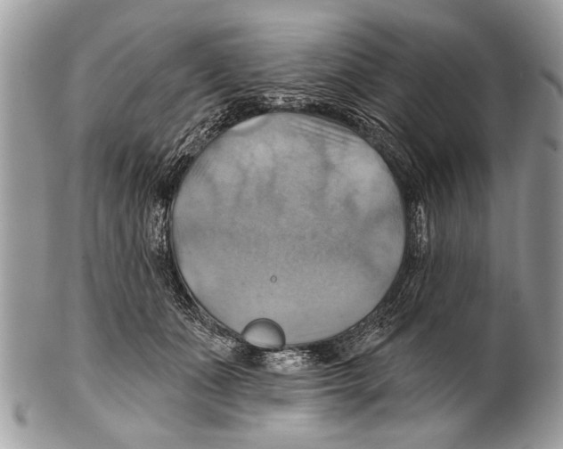 X0000101160511200807251113