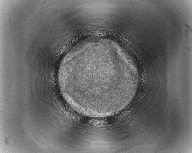 X0000101160512200807251113
