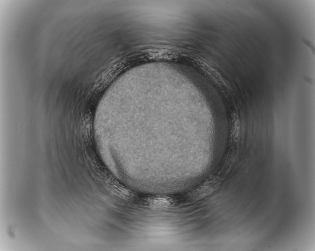 X0000101160513200807251113