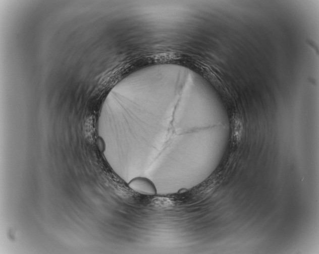 X0000101160519200807251113