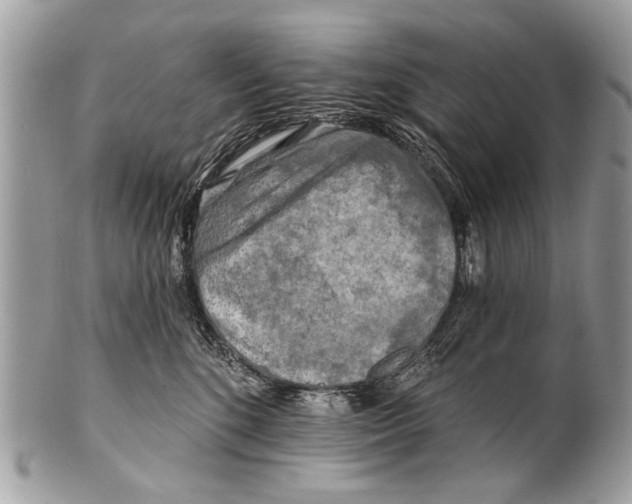 X0000101160520200807251113