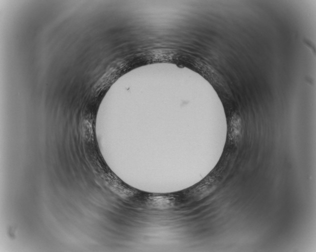 X0000101160522200807251113