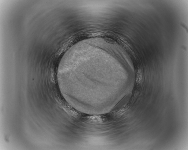 X0000101160524200807251113