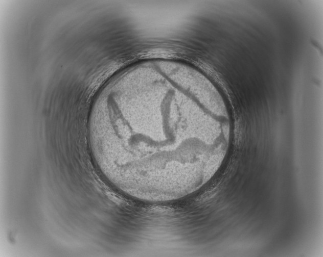 X0000101160529200807251113