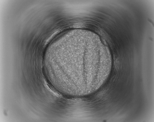 X0000101160530200807251113