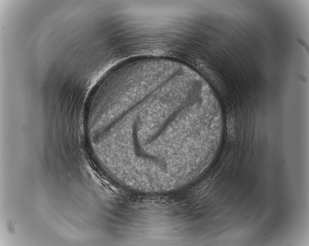 X0000101160532200807251113