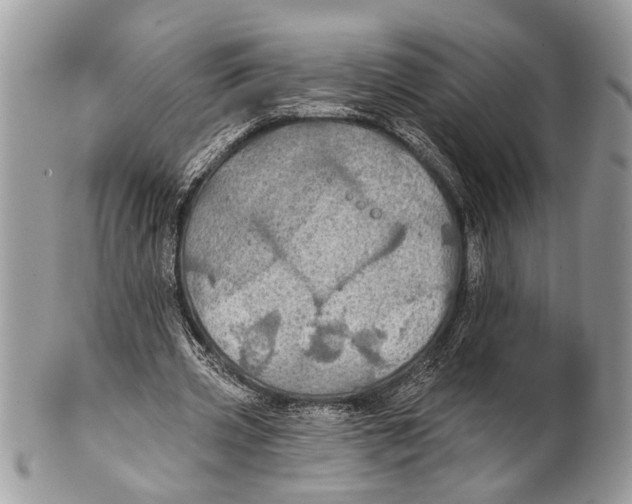X0000101160533200807251113